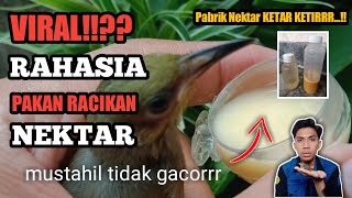 VIRAL!! Racikan NEKTAR burung Sogok Ontong, Kolibri, Kecial Kombok wajib GACOR (Awet, Mudah & Murah)