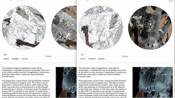 Shared Petrological Microscope