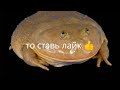 1 видео