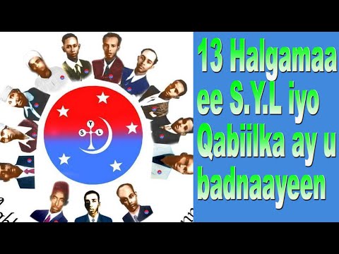 13 Kii Dhalinyaro  S.Y.L Qabiilka ay u Badnaayeen  Degaanada ay ku dhasheen Taariikh Kooban