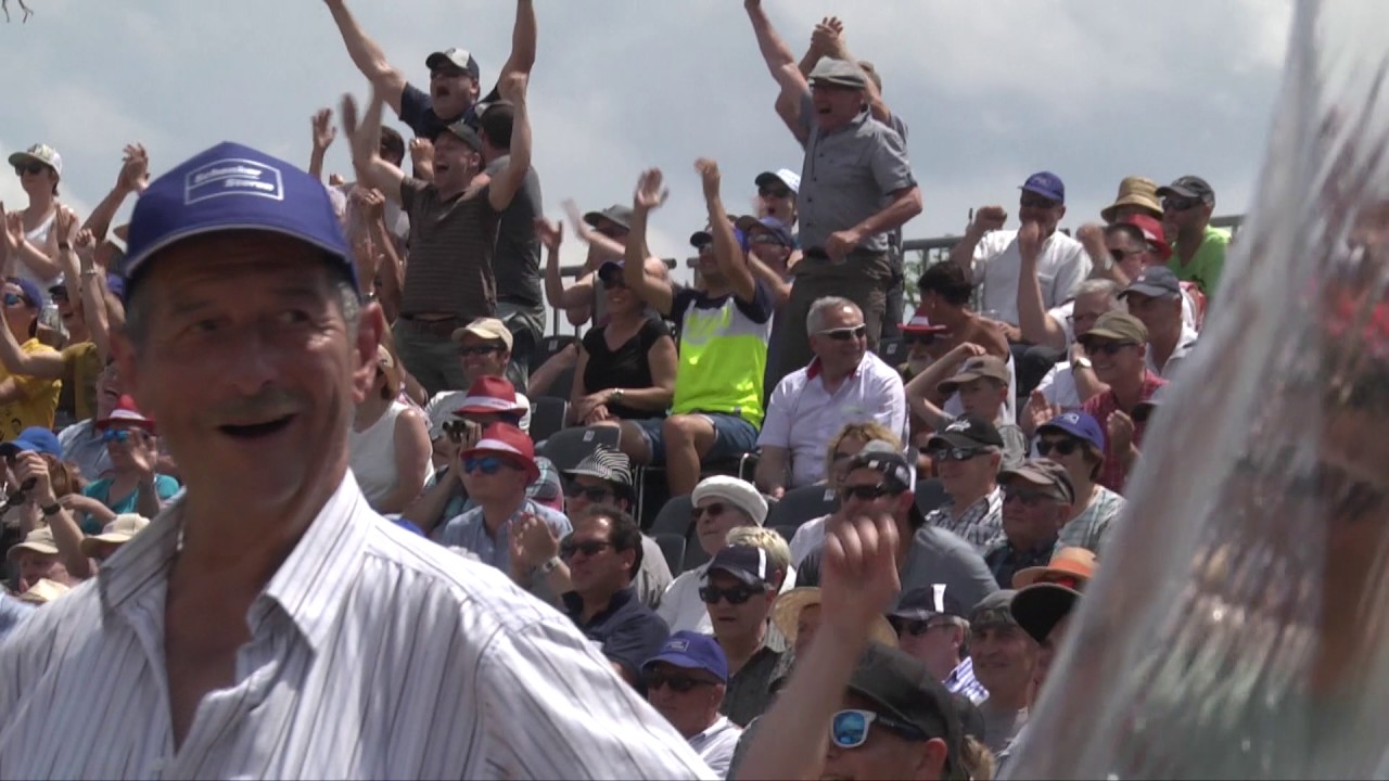 Best of Schwingfest OSF Niederbipp 2017