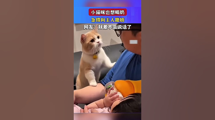 猫咪喝奶，急的就差不会说话了，太可爱了 #shorts