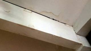 Luis Gonzalez wind driven rain causing water damage