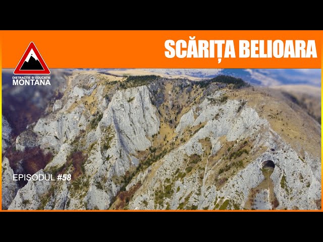 Traseu Circuit: Șesul Craiului - SCĂRIȚA BELIOARA (Episodul 58) DISTRACTIE SI EDUCATIE MONTANA