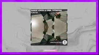 Sandr Voxon & Erbil Dzemoski - Forever