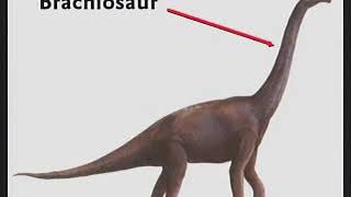 Celebrity Leviathan - The Fire Breathing Dragon - Kent Hovind Wealth