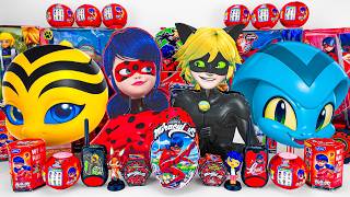 Miraculous Ladybug Toys Collection Asmr Unboxing Review Ladybug & Catnoir & S & Pollen Boxes