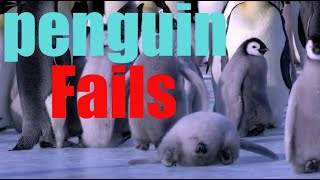 Funny Penguins Fails