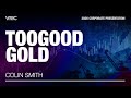 TooGood Gold Corporate Presentation | VRIC 2026