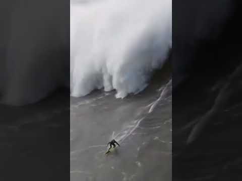😱😱 28,57 mètres : la plus grosse vague jamais surfée ! #shorts #surf #sports
