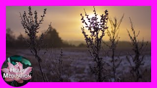 Sunrise over the Frozen Field | Calming Meditation & Sleep Music | 3 Hours