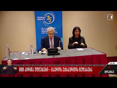შშმ პირთა უფლებები - გაერო-ს ექსპერტის შეფასება