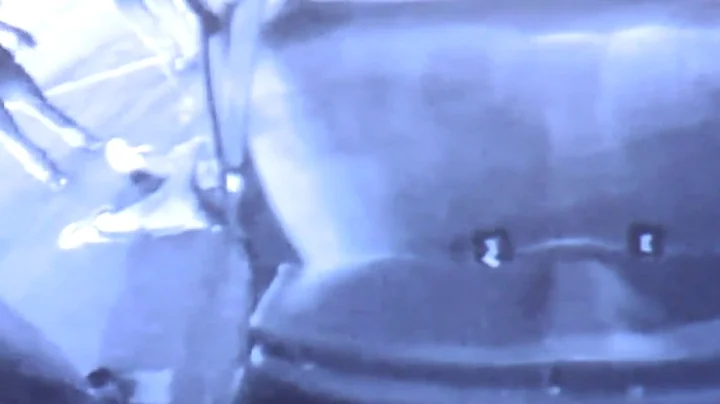 Video shows officers punching and using Taser on B...
