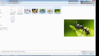 Webplus X6 Full Screen Image Gallery