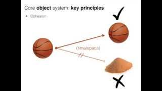 Core Knowledge Stanford Psych 60
