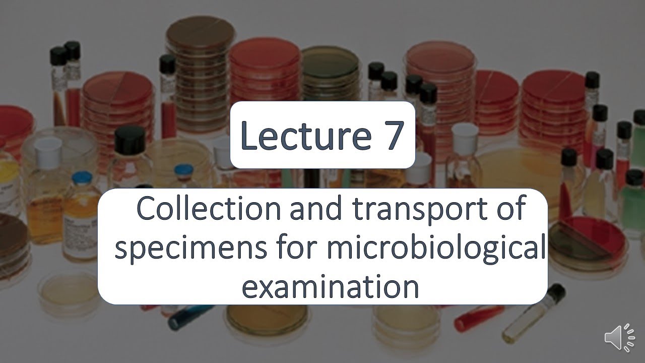 Lecture 7 Sample collection - YouTube