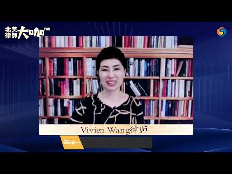 哪部剧能反映最真实的法庭审理过程及出庭律师的工作？
