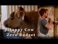 Building our milking shed on a very tight budget  free range homestead ep 71