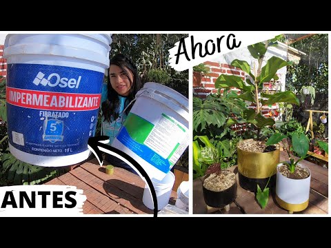 🎬 Video relacionado con cubetas de plastico grandes