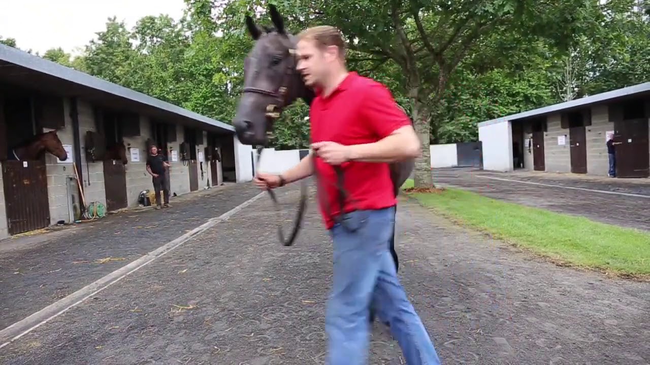 Lot 133 Goffs Land Rover Sale YouTube