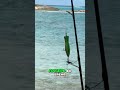 Подводная охота: рыбалка, отдых и вкусный ужин на берегу! #shorts