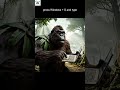 "window +s " tech tips by #bigfoot