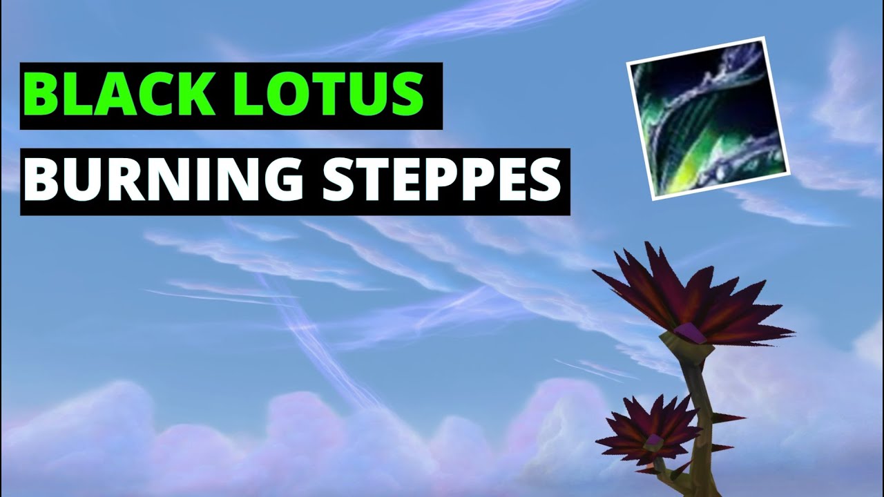 Classic Black Lotus Guide - Burning Steppes