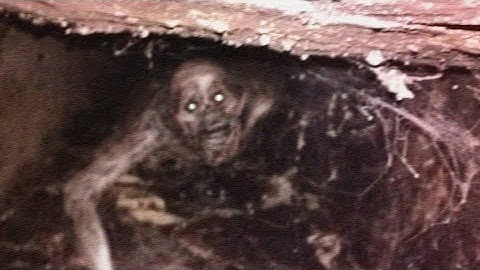 10 Minutes of Cursed Images with Cursed Music