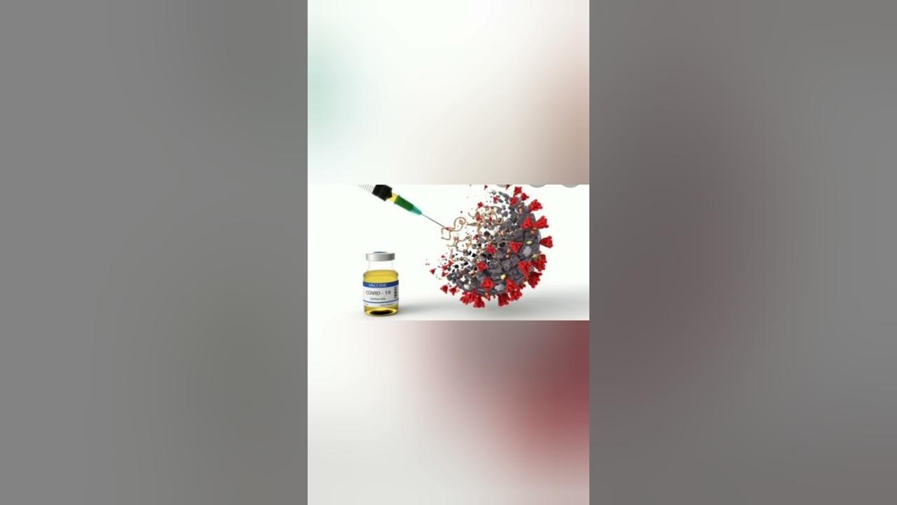 How to download Covid19 Vaccine Certificate in Qatar YouTube