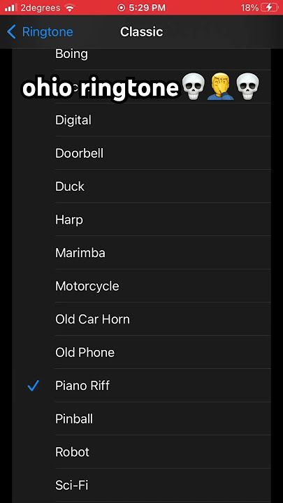 ohio ringtone💀
