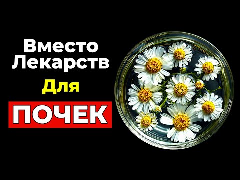 Instead of medications, to cleanse the kidneys!