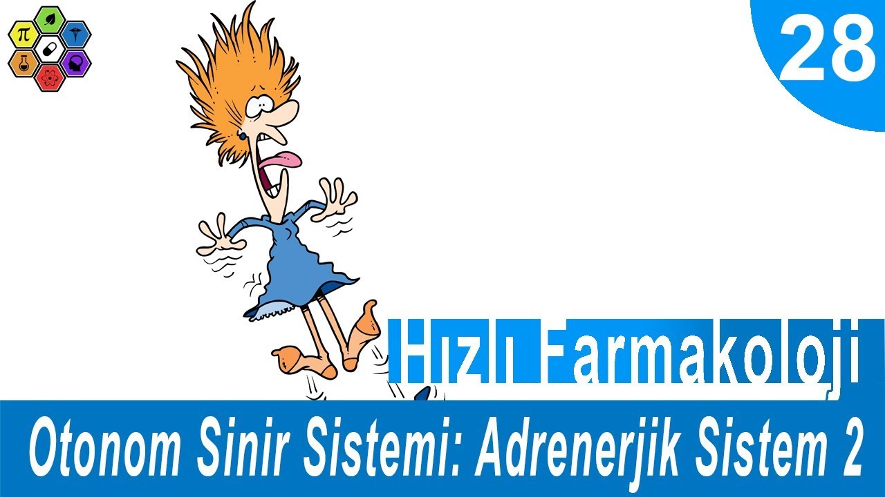 OTONOM SİNİR SİSTEMİ: ADRENERJİK SİSTEM 2 | Hızlı Farmakoloji #28