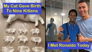 Hilariously Chaotic Posts To Show That Lies Are The New Form Of Internet Humor | Happy And Fun
