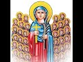 قداس تذكار تكريس كنيسة القديسة دميانة بالبرارى وظهور صليب نور 12 بشنس 21 5 2022