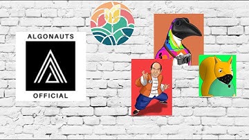 ALGONAUTS OFFICIAL: NFT Extravaganza w/ Al Goanna - Algo House - Algo Squirrel - ZestBloom