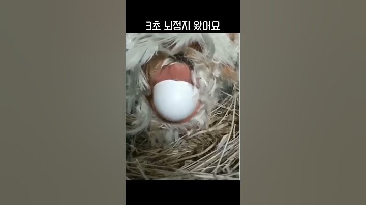 진귀한 출산 장면이네요 #shorts