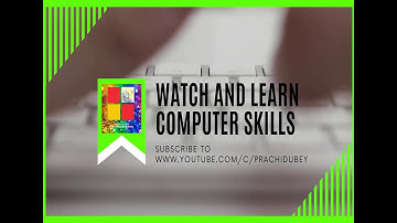 Understand the difference between Program and Software in Computer