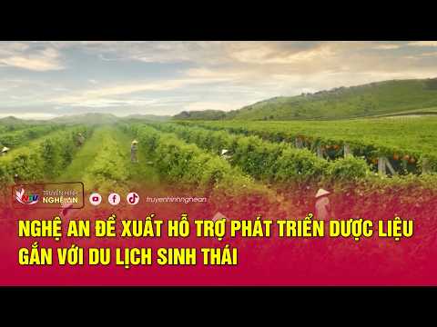Nghe An Proposes Support for Medicinal Plant Development Linked to Ecotourism