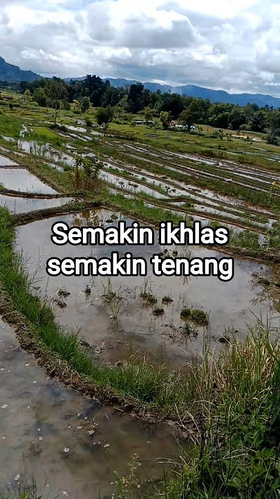 #quotes #motivation #words of wisdom #advice #sermons #reflections #words of wisdom #religion #tr...