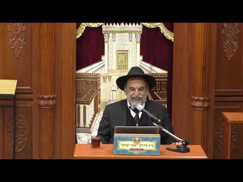 הלכה |הרב יהודה נקי | הלכות פסח - דיני הכשרת כלים  כ' אדר תשפ"ה