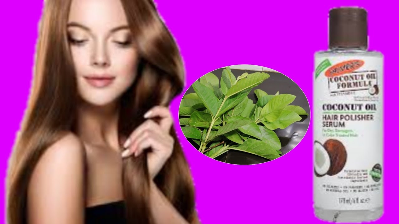 How to use guava leaves for hair growth and stop losing hair YouTube