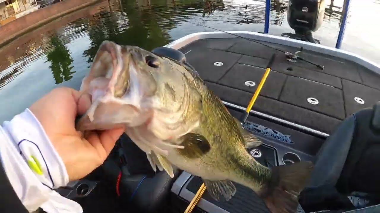 Clear Lake Tournament Fishing (6/1/24)