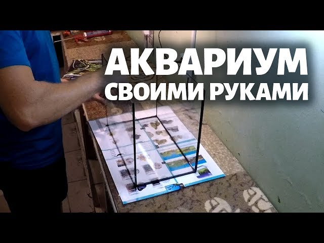 Аквариум своими руками: виды, этапы склейки. Самодельный аквариум.