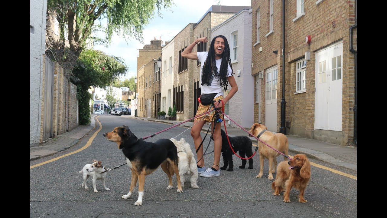 Day Of DOG WALKER in London ! YouTube