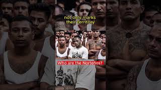 NORTEÑO TATS & GRAFFITI #gangster #followme #fypシ #california #norte #norteños #norte #fyp