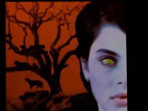 Bring the Prod David Bowie Cat People)   YouTube9