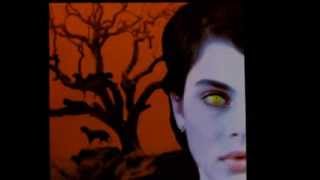 Bring the Prod David Bowie Cat People)   YouTube9