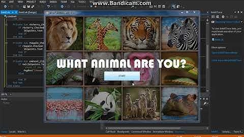 Visual Basic .NET - What animal are you? Tutorial Part 4