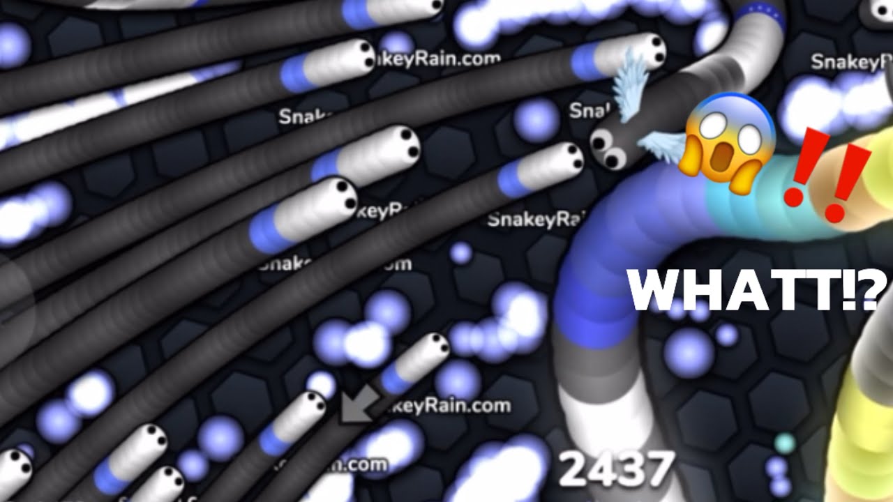 Snakey-Rain on Slither IO {9259} 