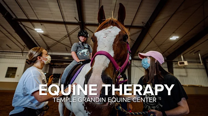 Equine Therapy at Temple Grandin Equine Center | Colorado State University